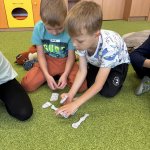 projektový den
